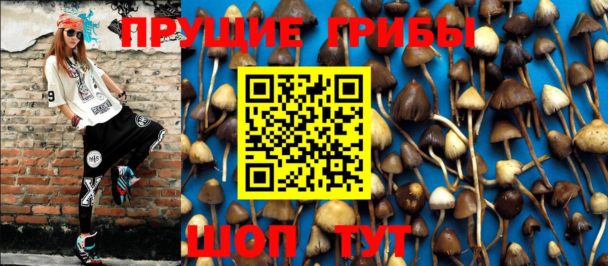 Псилоцибиновые грибы MAGIC MUSHROOMS  Галлюциногенные грибы мухоморы  где купить наркоту  Прокопьевск  Вход с VPN 